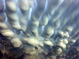 mammatus clouds (close relative of undulatus)