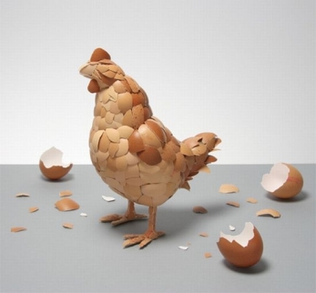eggshell_chicken
