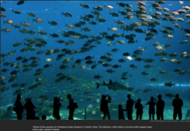 nytl_largest_aquarium_china